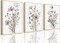 Wildflower Poster Pink Watercolor Botanical Floral Wall Art Colorful Canvas Prints Set of 3 Modern Minimalist Flower Pictures Decor Painting Bedroom Bathroom Living Room Unframed